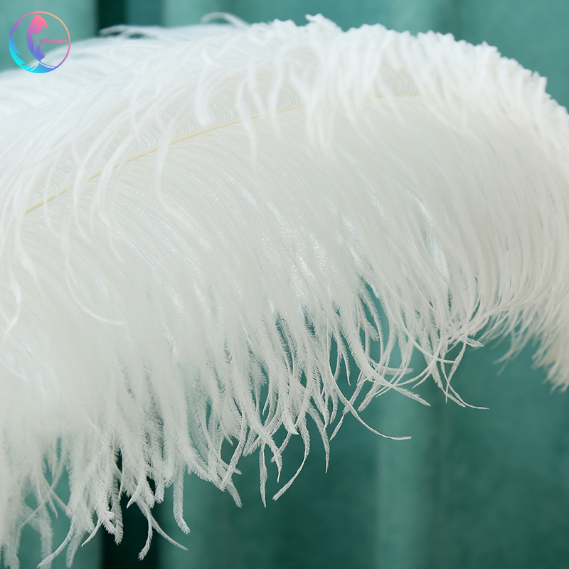 Diy Wedding Decoration Clothing Shooting Props Colorful Ostrich Hair Whole Thick Rod 60~65Cm Color Optional details Picture