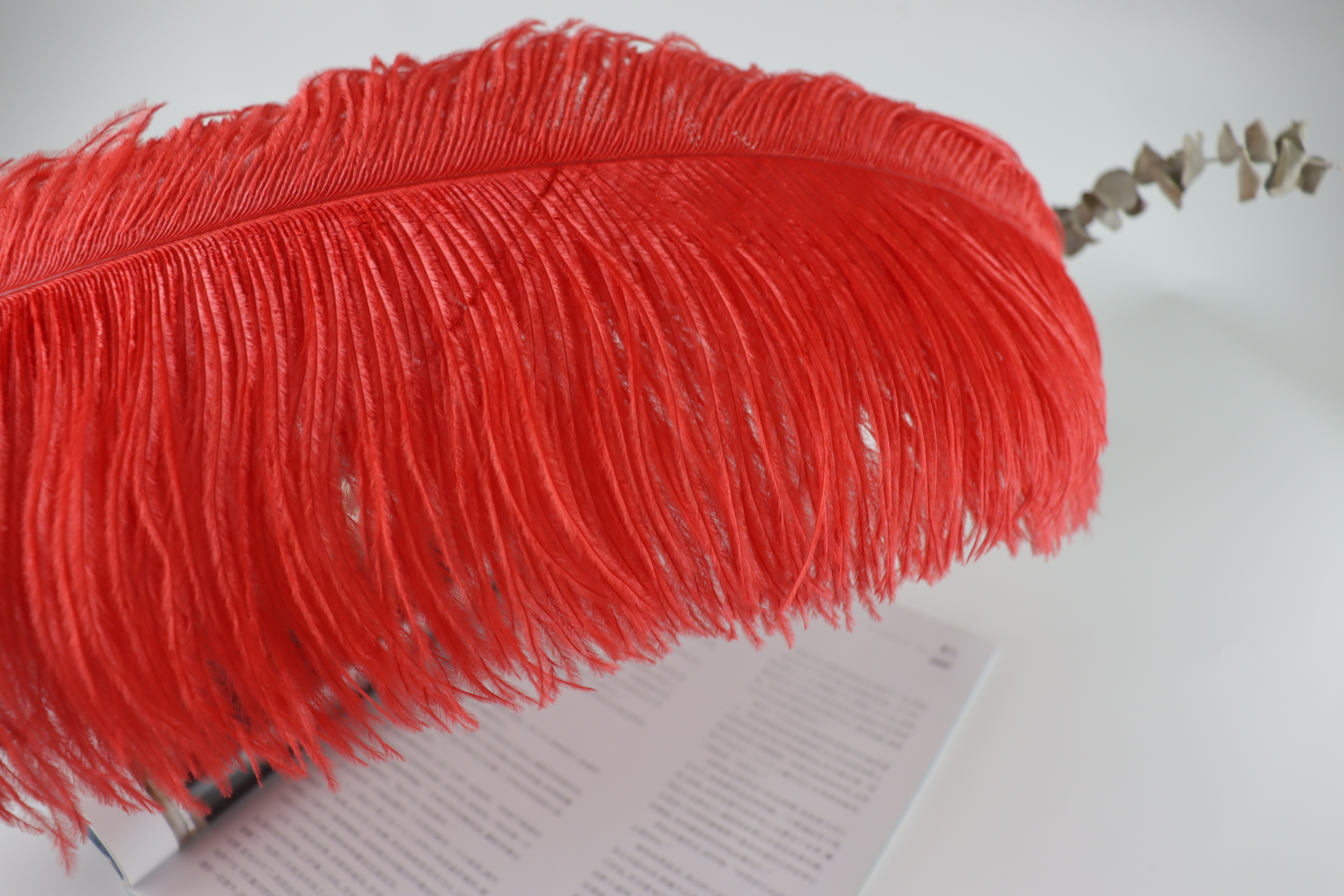 Diy Wedding Decoration Shooting Props Colorful Ostrich Hair Whole Thin Rod 50~60Cm Color Optional details Picture