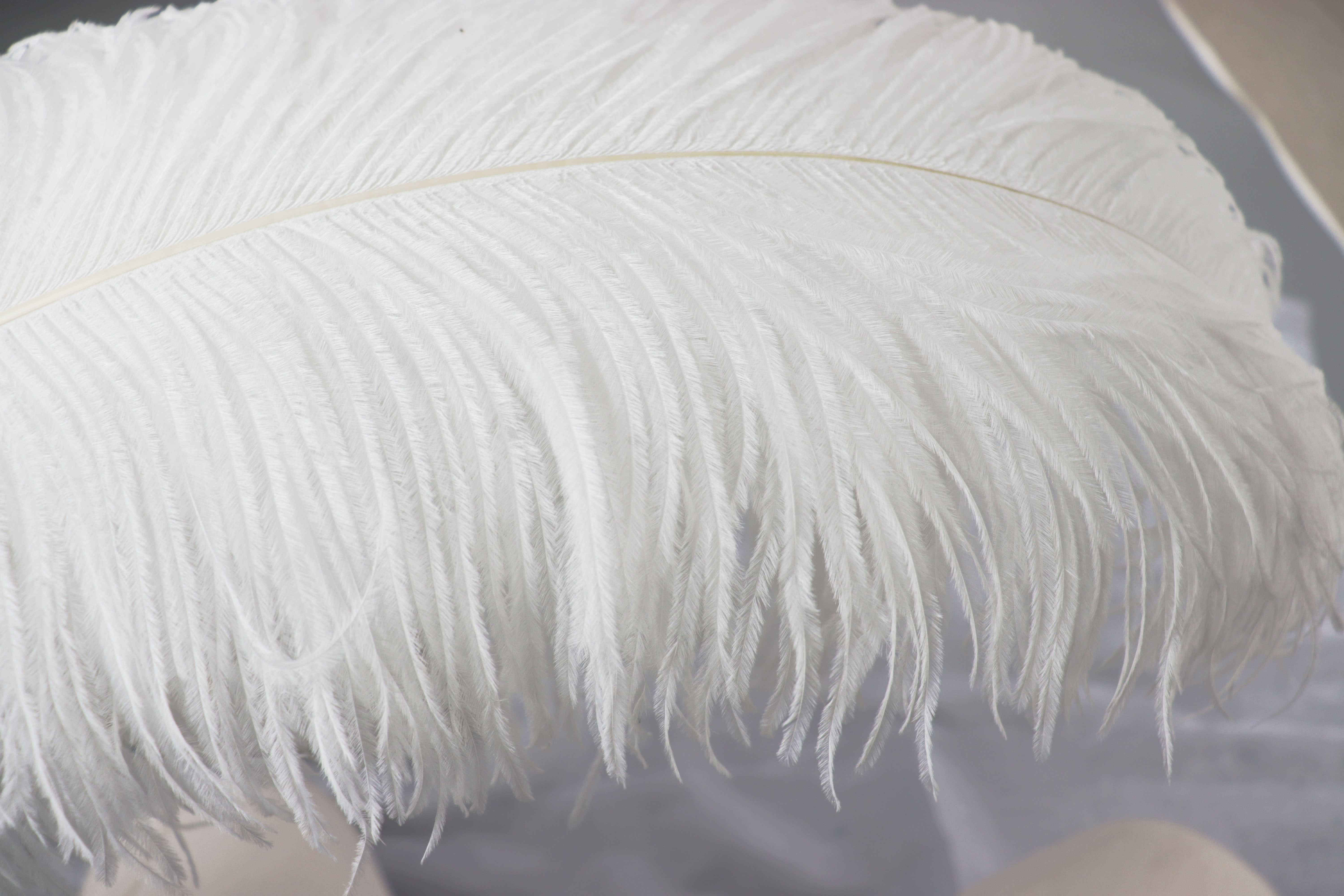 Diy Wedding Decoration, Clothing, Shooting Props, Ornaments, Colorful Ostrich Hair Whole Thick Rod 65~70Cm Color Optional Application Scenario