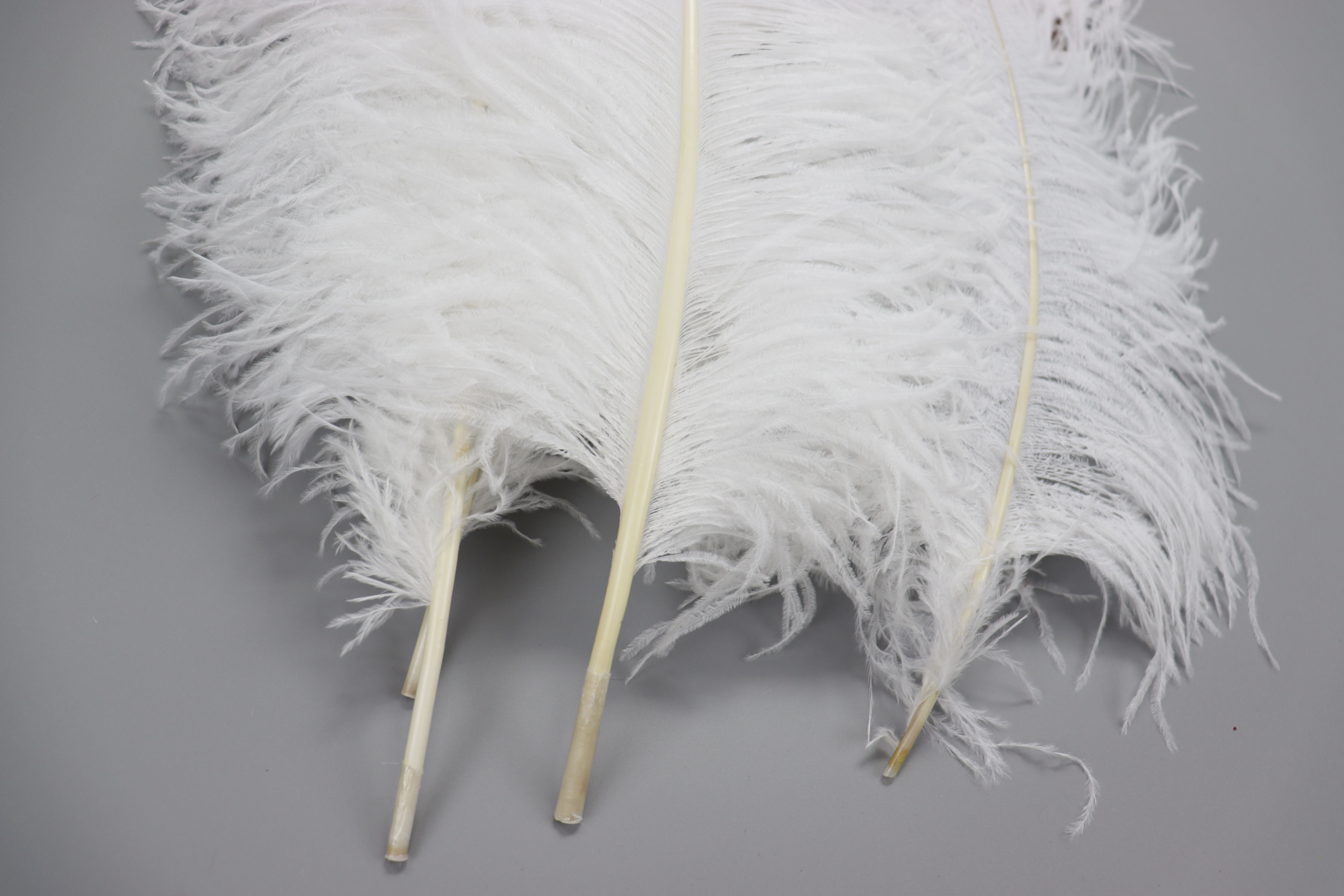 Diy Wedding Decoration Clothing Shooting Props Colorful Ostrich Hair Whole Thick Rod 55~60Cm Color Optional Application Scenario