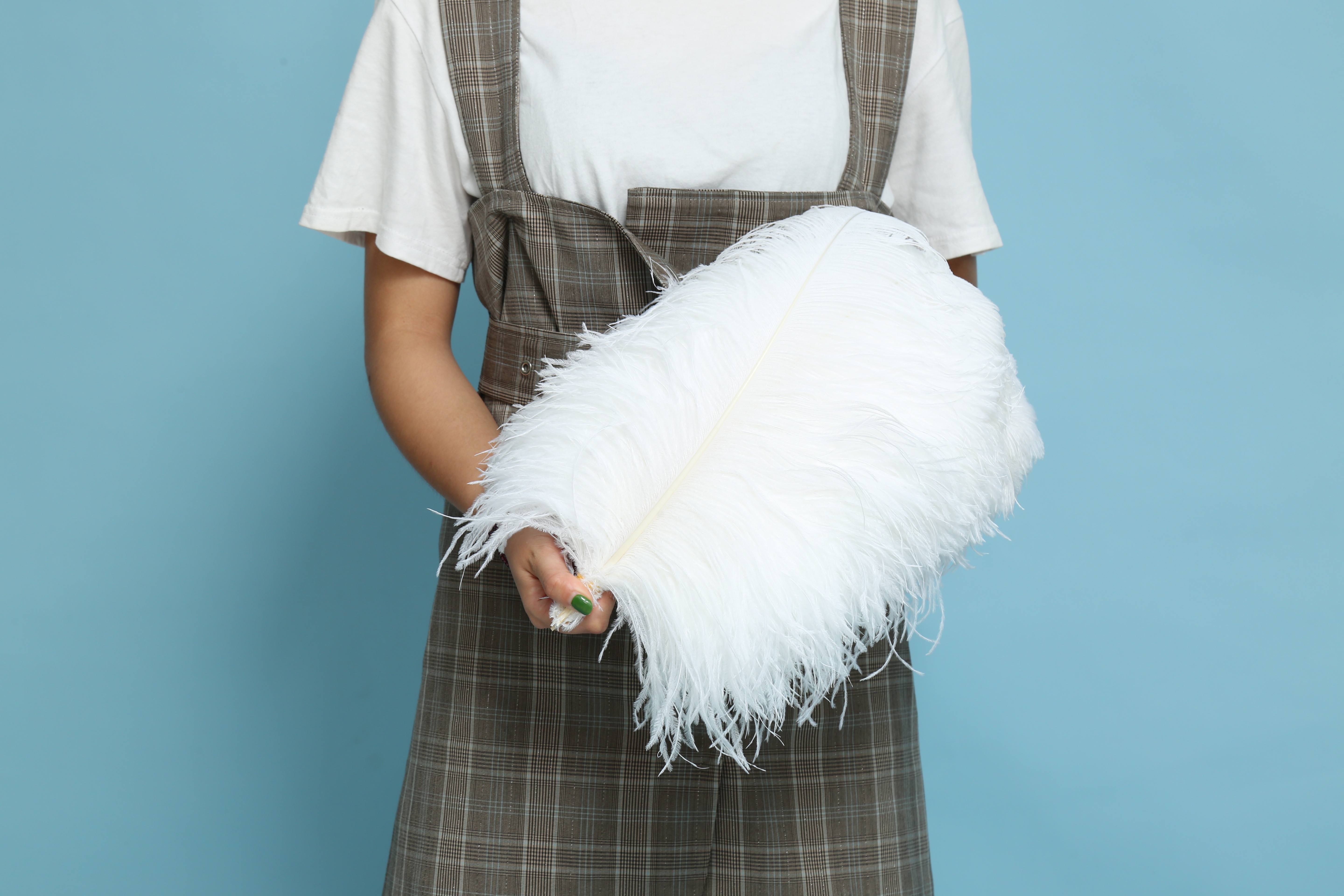 Diy Wedding Decoration Clothing Shooting Props Colorful Ostrich Hair Whole Thick Rod 35~40Cm Color Optional Application Scenario