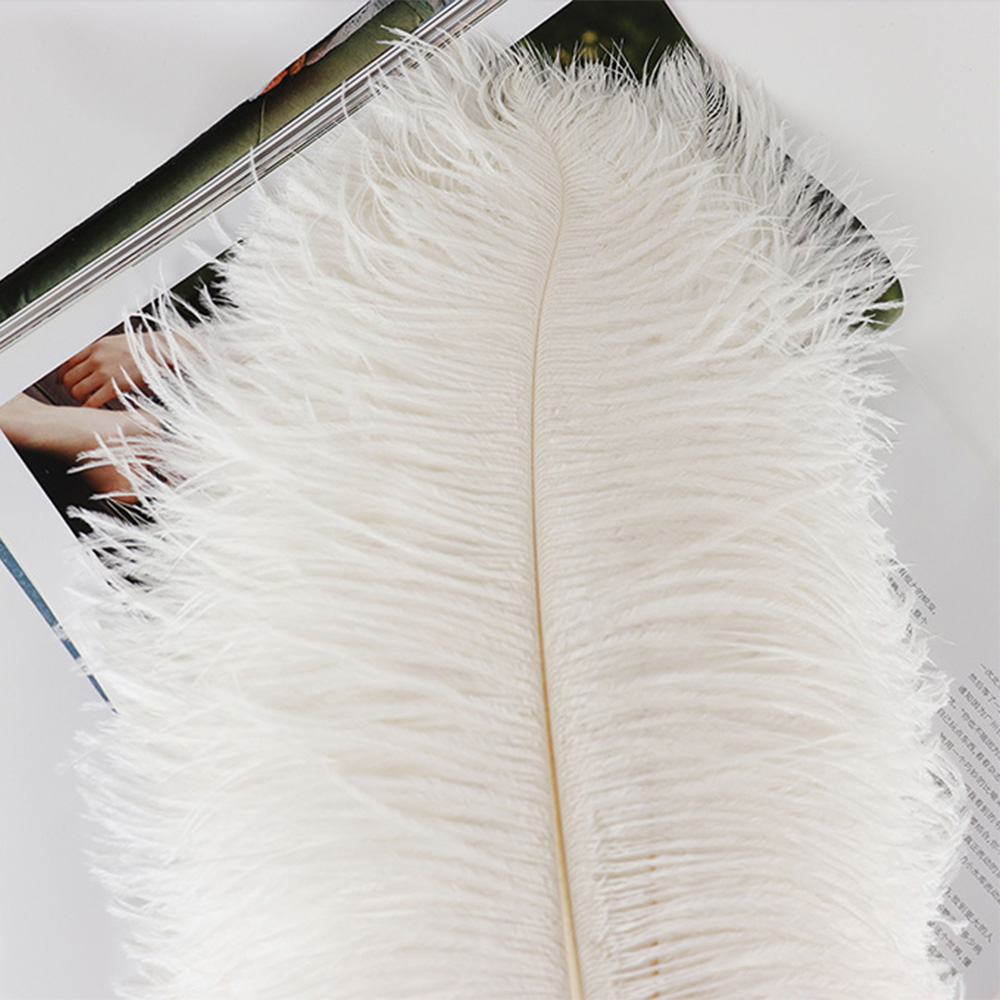 Diy Wedding Decoration Shooting Props Colorful Ostrich Hair Whole Thin Rod 50~55Cm Color Optional