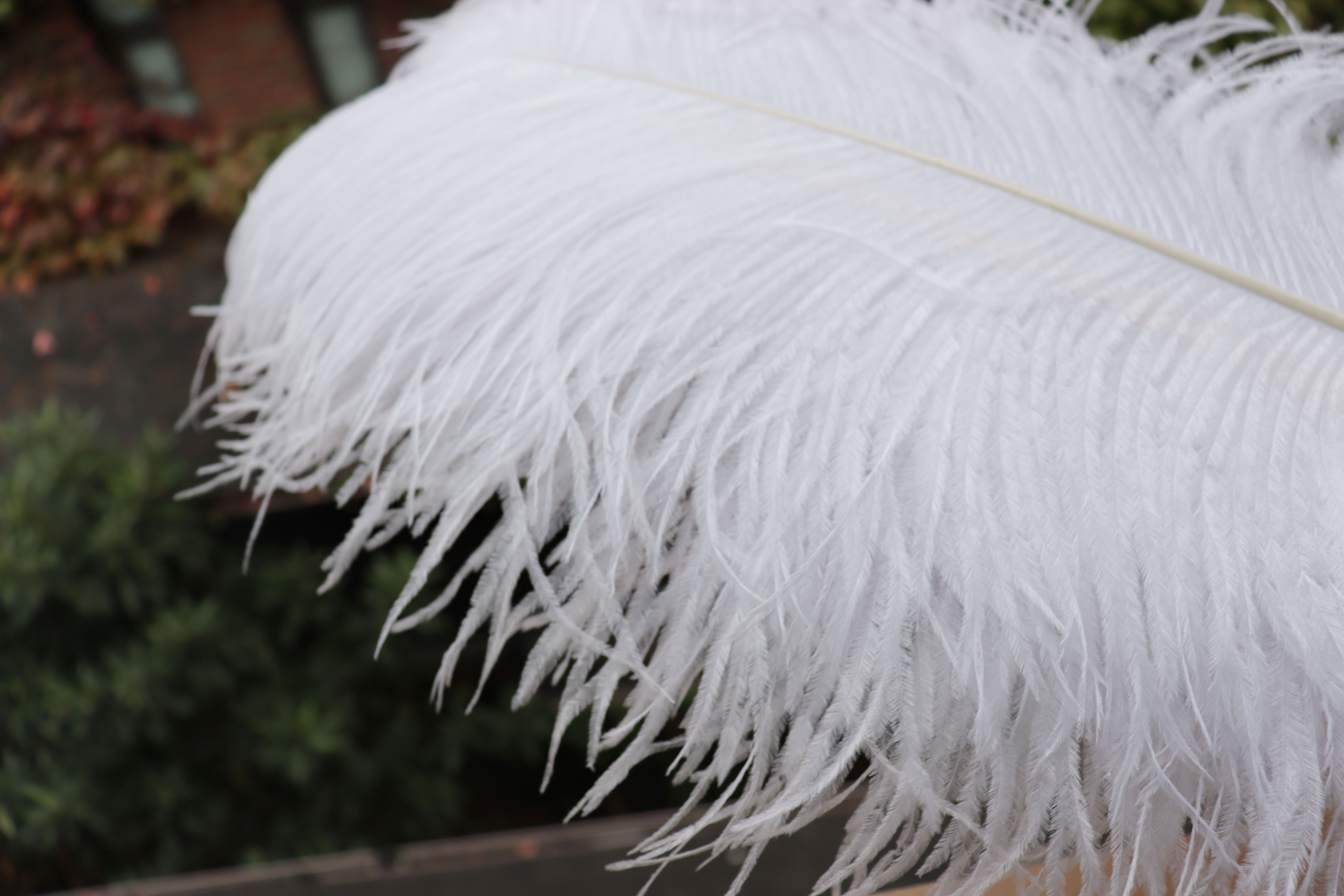 Diy Wedding Decoration, Clothing, Shooting Props, Ornaments, Colorful Ostrich Hair Whole Thick Rod 65~70Cm Color Optional details Picture