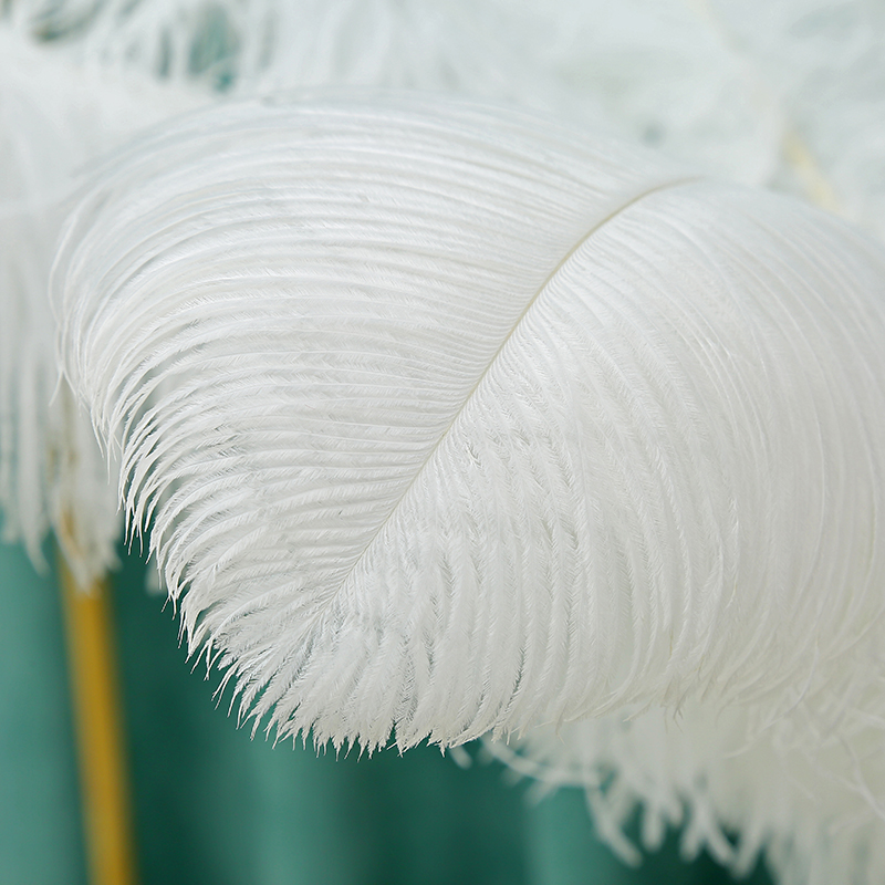 Diy Wedding Decoration Clothing Shooting Props Colorful Ostrich Hair Whole Thick Rod 60~65Cm Color Optional