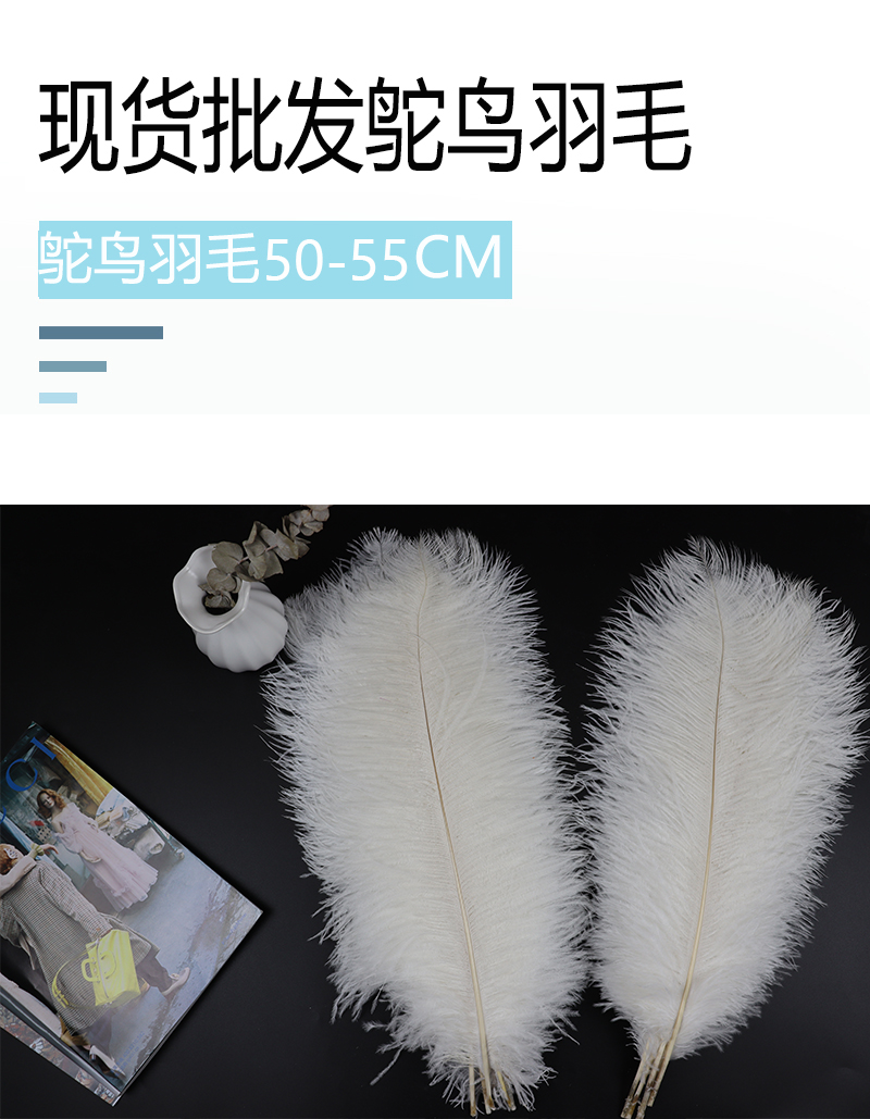 Diy Wedding Decoration Shooting Props Colorful Ostrich Hair Whole Thin Rod 50~55Cm Color Optional Item Picture