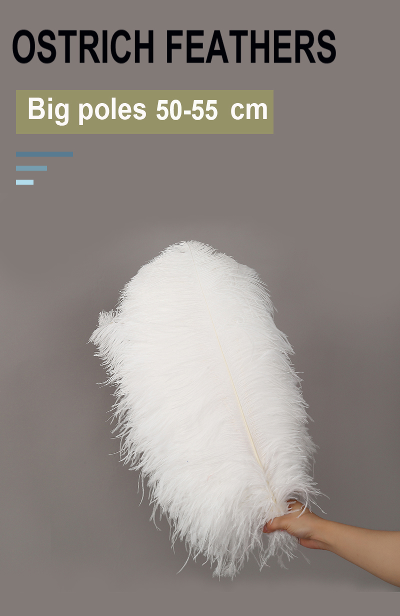Wedding Decoration Clothing Shooting Props Diy Colorful Ostrich Hair Whole Thick Rod 50~55Cm Color Can Be Customized details Picture