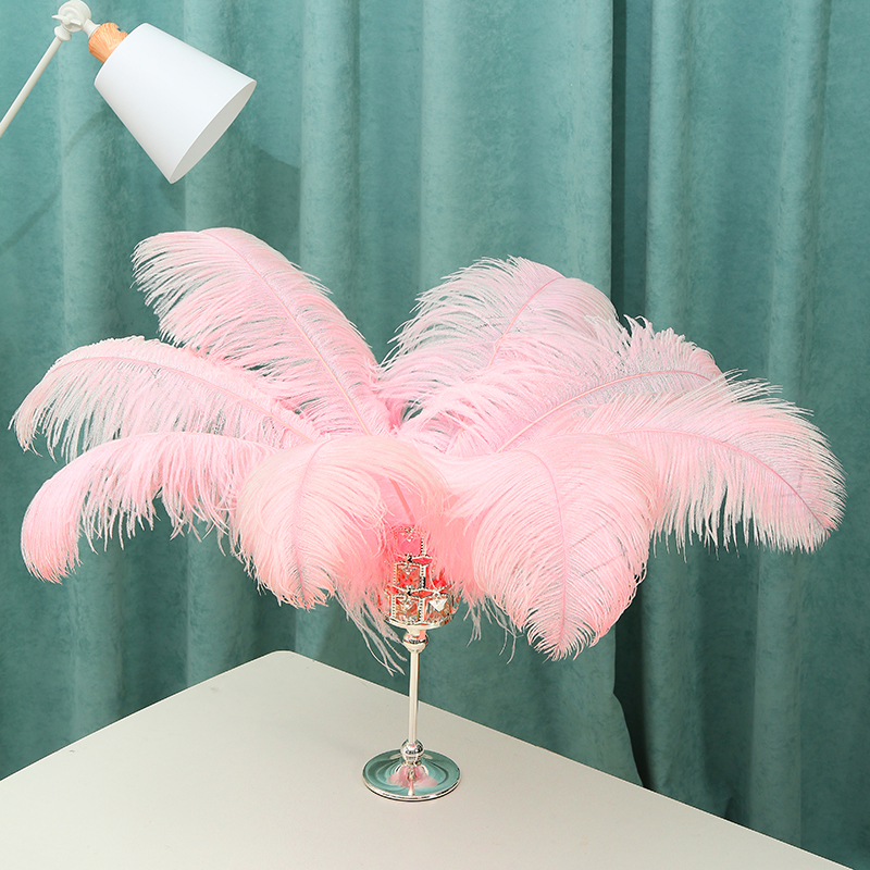 Diy Wedding Decoration Clothing Shooting Props Colorful Ostrich Hair Whole Thick Rod 60~65Cm Color Optional Application Scenario