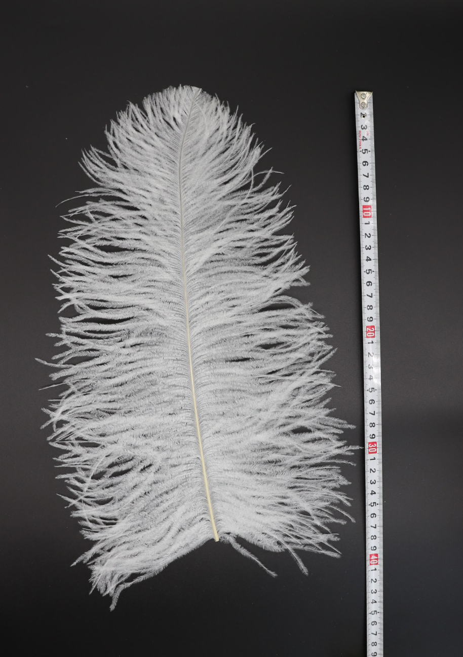 Diy Wedding Decoration Clothing Shooting Props Colorful Ostrich Hair Whole Thick Rod 35~40Cm Color Optional Item Picture