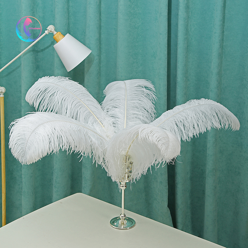 Wedding Decoration Clothing Shooting Props Diy Colorful Ostrich Hair Whole Thick Rod 50~55Cm Color Can Be Customized Application Scenario