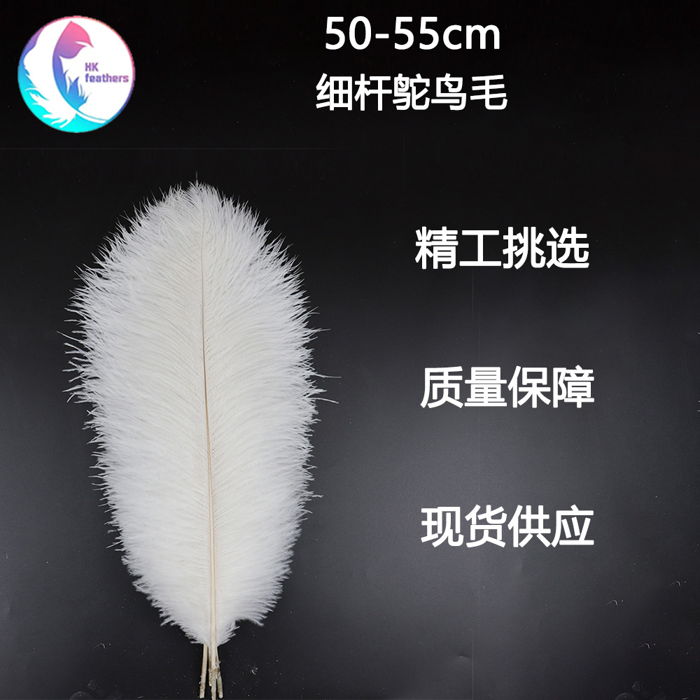 Diy Wedding Decoration Shooting Props Colorful Ostrich Hair Whole Thin Rod 50~55Cm Color Optional Application Scenario