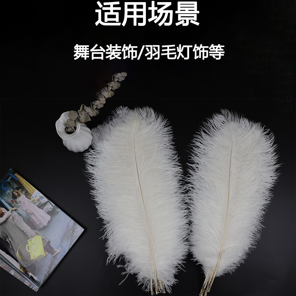 Diy Wedding Decoration Shooting Props Colorful Ostrich Hair Whole Thin Rod 50~55Cm Color Optional Specification drawing