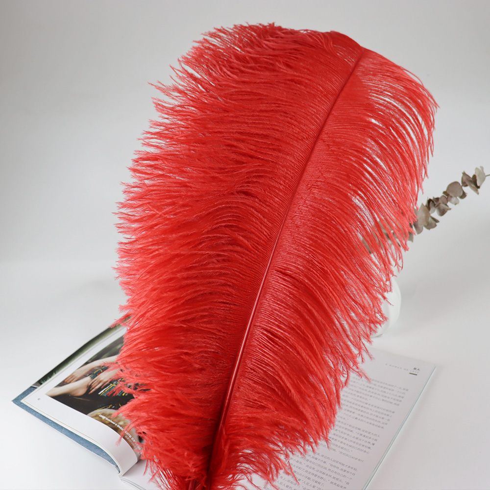 Diy Wedding Decoration Shooting Props Colorful Ostrich Hair Whole Thin Rod 50~60Cm Color Optional Specification drawing