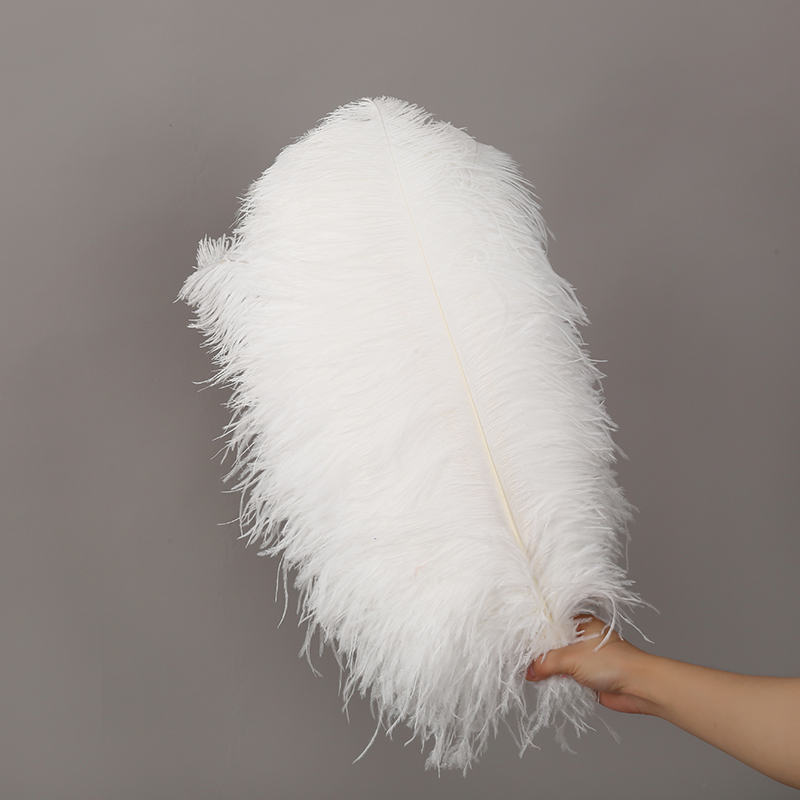 Diy Wedding Decoration Clothing Shooting Props Colorful Ostrich Hair Whole Thick Rod 55~60Cm Color Optional