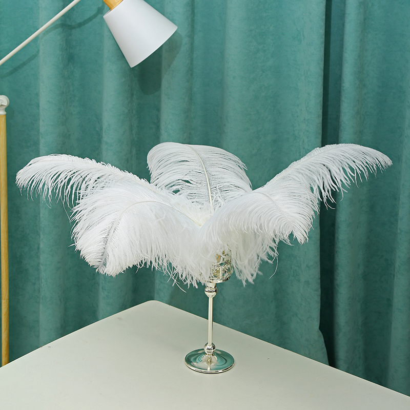 Diy Wedding Decoration Clothing Shooting Props Colorful Ostrich Hair Whole Thick Rod 45~50Cm Color Optional Application Scenario