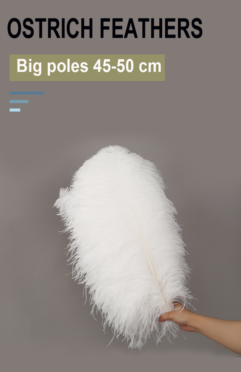 Diy Wedding Decoration Clothing Shooting Props Colorful Ostrich Hair Whole Thick Rod 45~50Cm Color Optional
