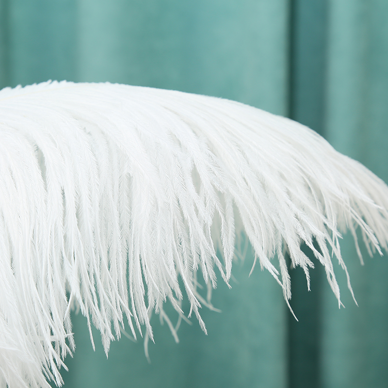 Diy Wedding Decoration Clothing Shooting Props Colorful Ostrich Hair Whole Thick Rod 35~40Cm Color Optional details Picture
