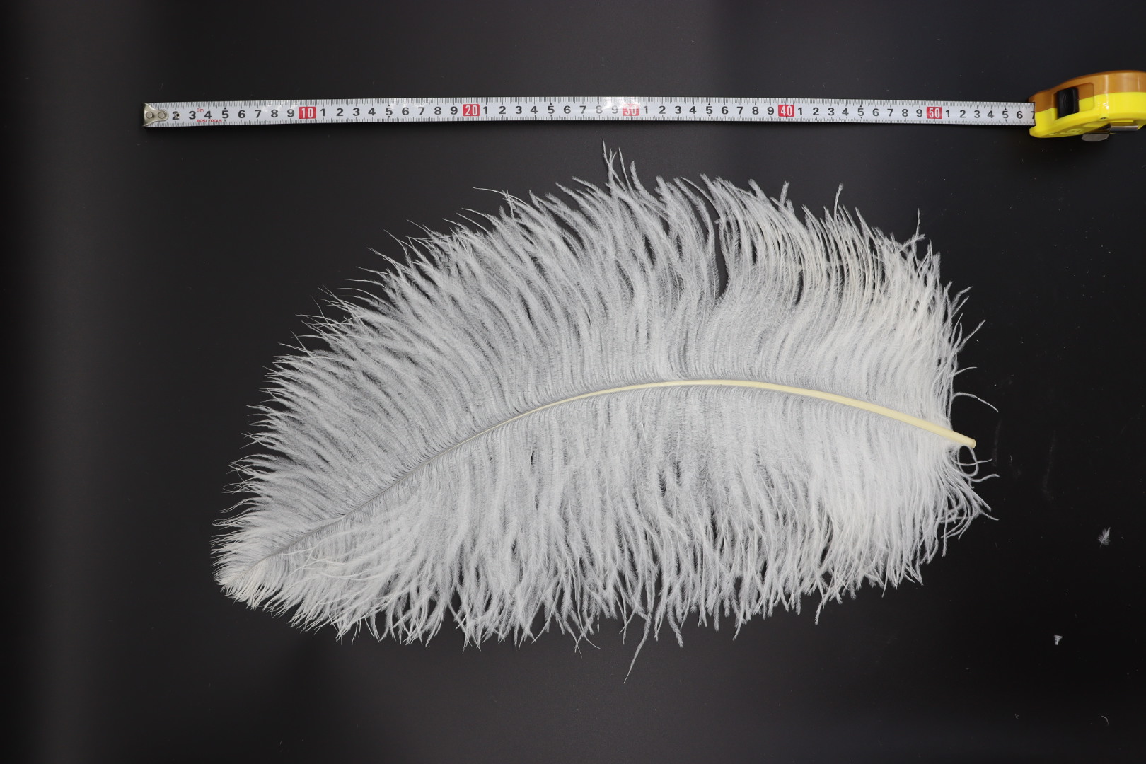 Wedding Decoration Clothing Shooting Props Diy Colorful Ostrich Hair Whole Thick Rod 50~55Cm Color Can Be Customized Specification drawing