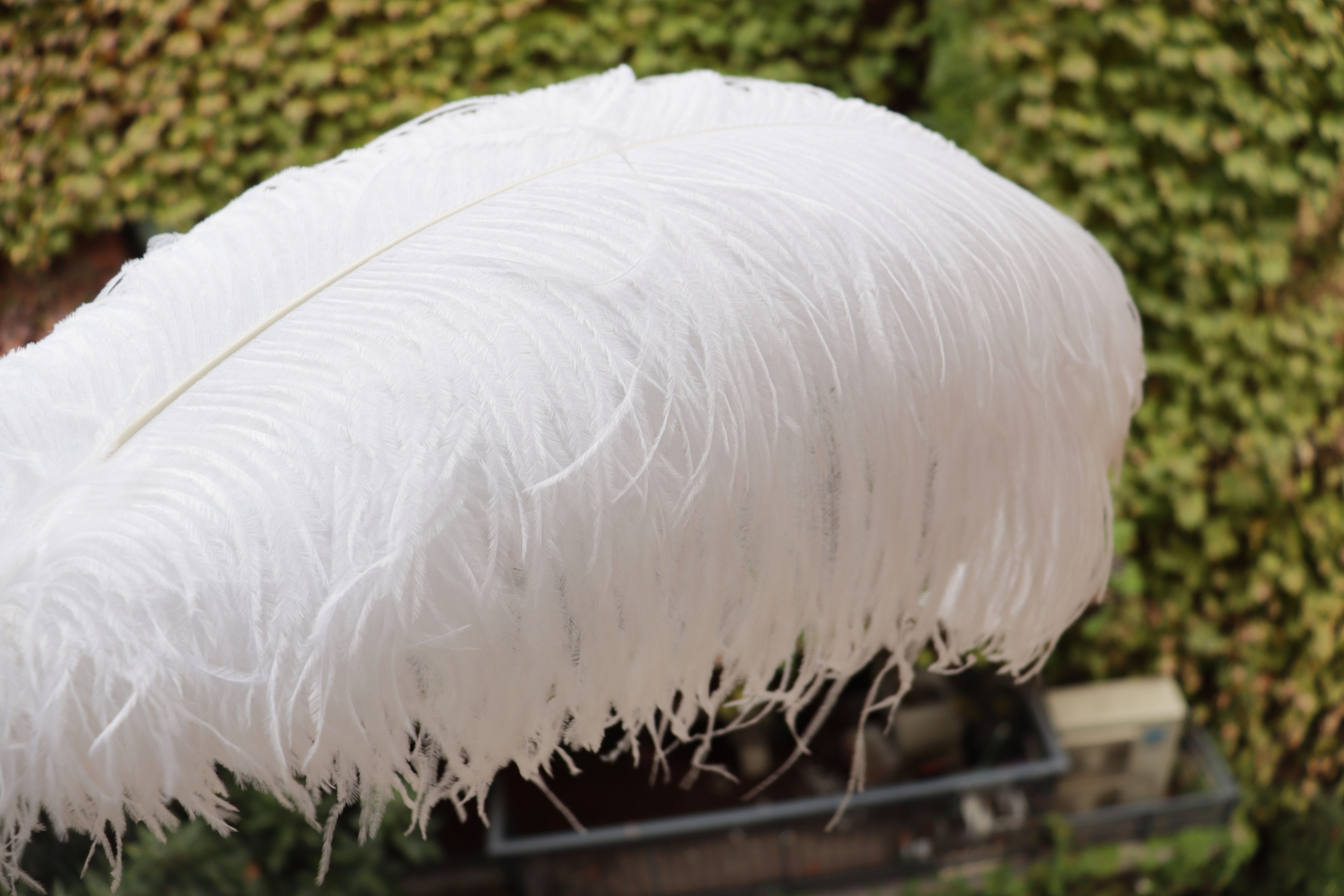 Diy Wedding Decoration, Clothing, Shooting Props, Ornaments, Colorful Ostrich Hair Whole Thick Rod 65~70Cm Color Optional