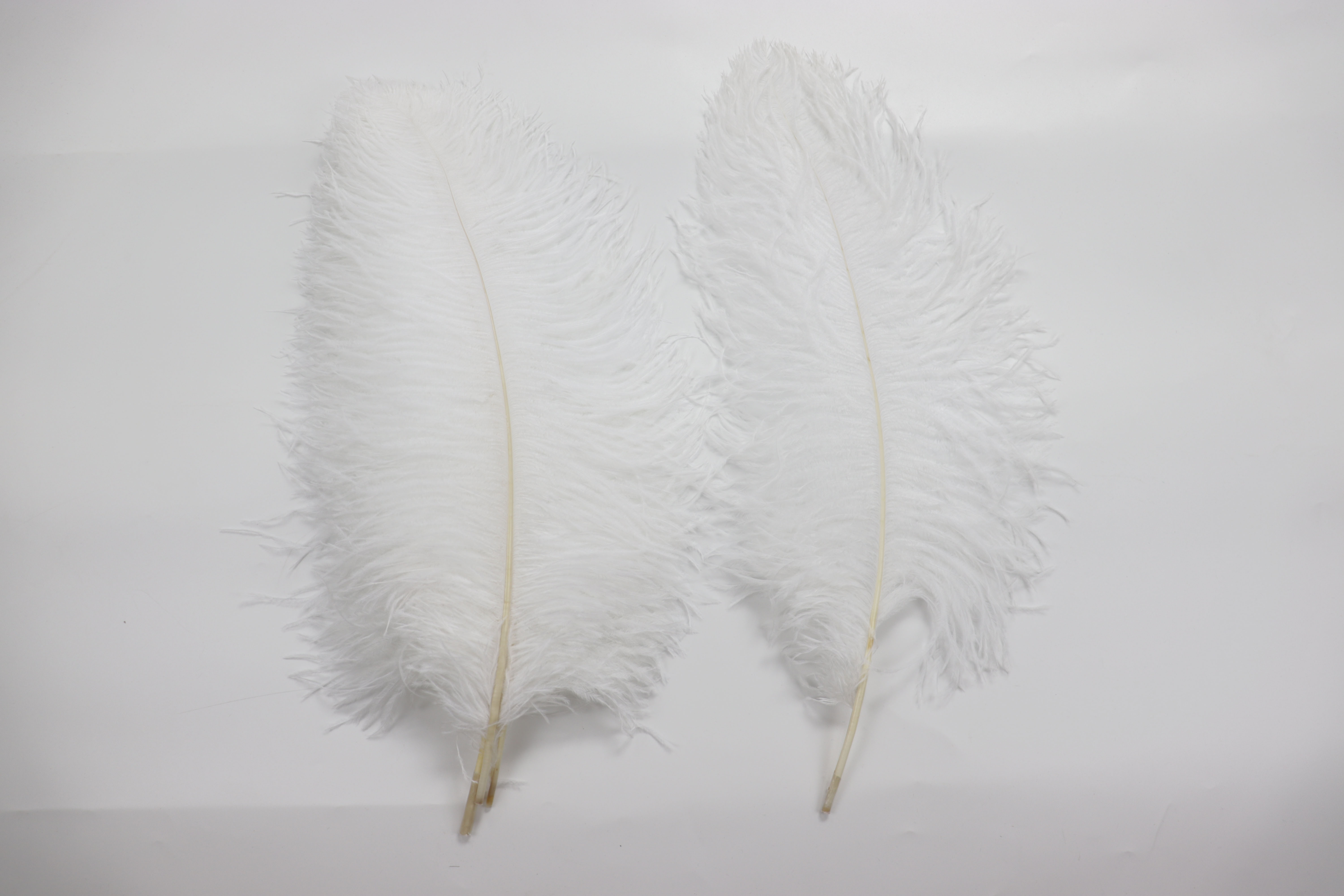 Diy Wedding Decoration Clothing Shooting Props Colorful Ostrich Hair Whole Thick Rod 55~60Cm Color Optional Item Picture