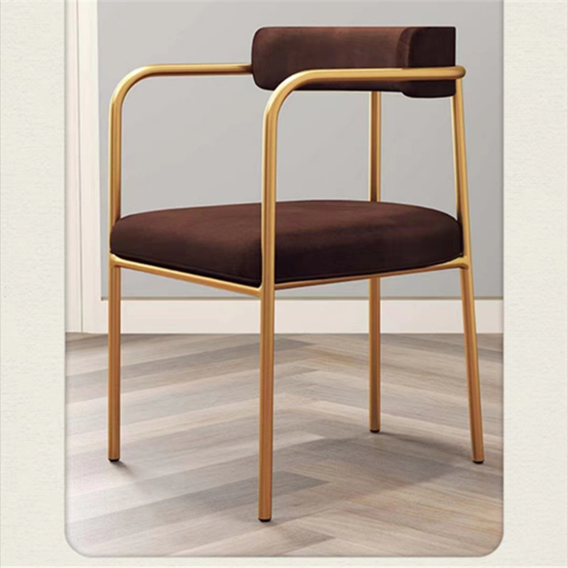 Dining Chair Light Luxury Home Ins Network Red Restaurant Chair Modern Simple High-End Chair Nordic Minimalist Italian Desk Chair Application Scenario