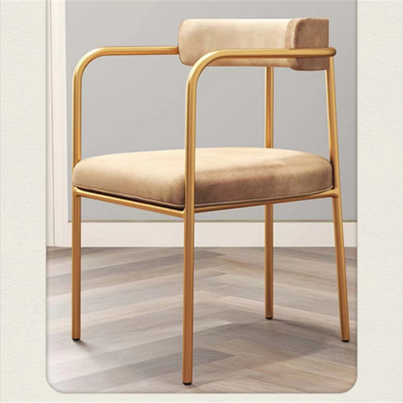 Dining Chair Light Luxury Home Ins Network Red Restaurant Chair Modern Simple High-End Chair Nordic Minimalist Italian Desk Chair Specification drawing