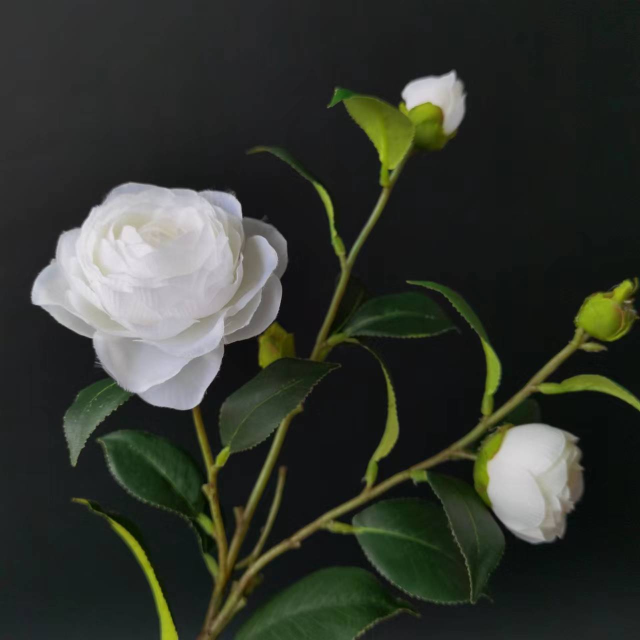 وقد تم تصميم الشاي في فندق حفلات الزفاف، وهو عبارة عن مزيج من الزهور في غرف الجلوس والزهور الشهرية Item Picture