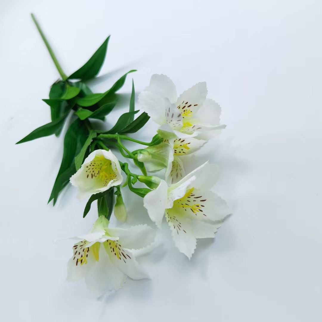 Fábrica daisy flor simulación de casa narciso lirio flor falsa tamarin arreglo de sala de estar decoración de boda arte floral pic 8