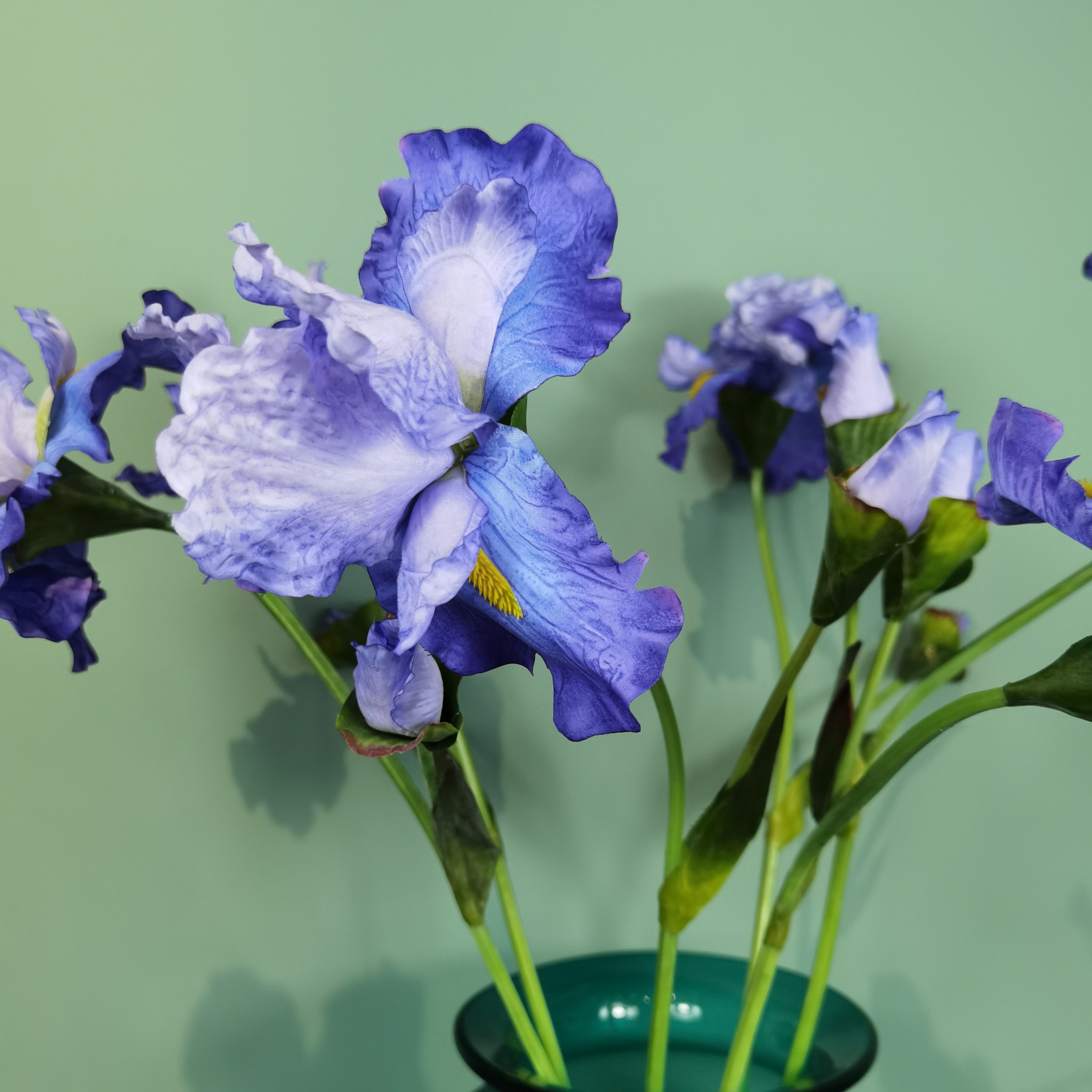 Venta directa de fábrica iris flores de simulación flores de seda alice casa sala de estar encimeras montaje suave decoración de boda Application Scenario