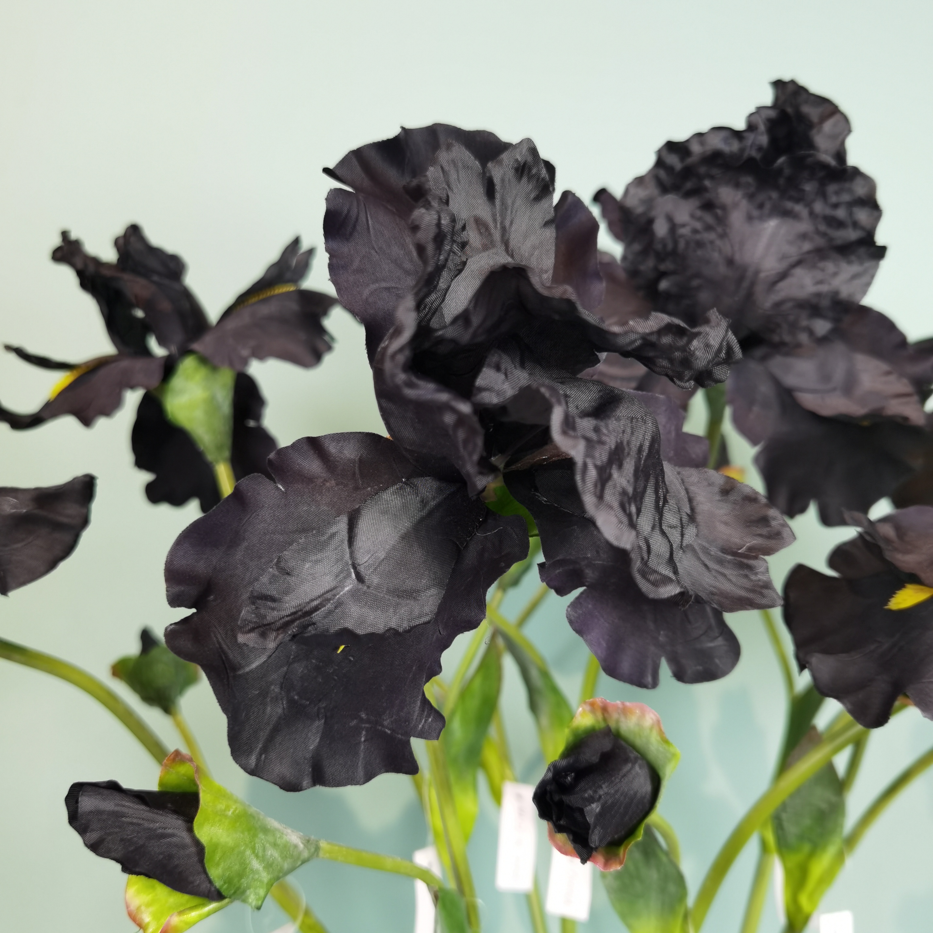 Venta directa de fábrica iris flores de simulación flores de seda alice casa sala de estar encimeras montaje suave decoración de boda pic 3