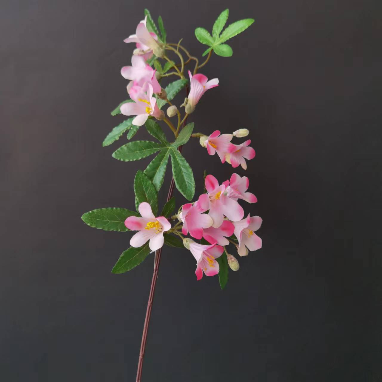 ولا شك ان اسواق الازهار لا تلح على وجه السماء Item Picture