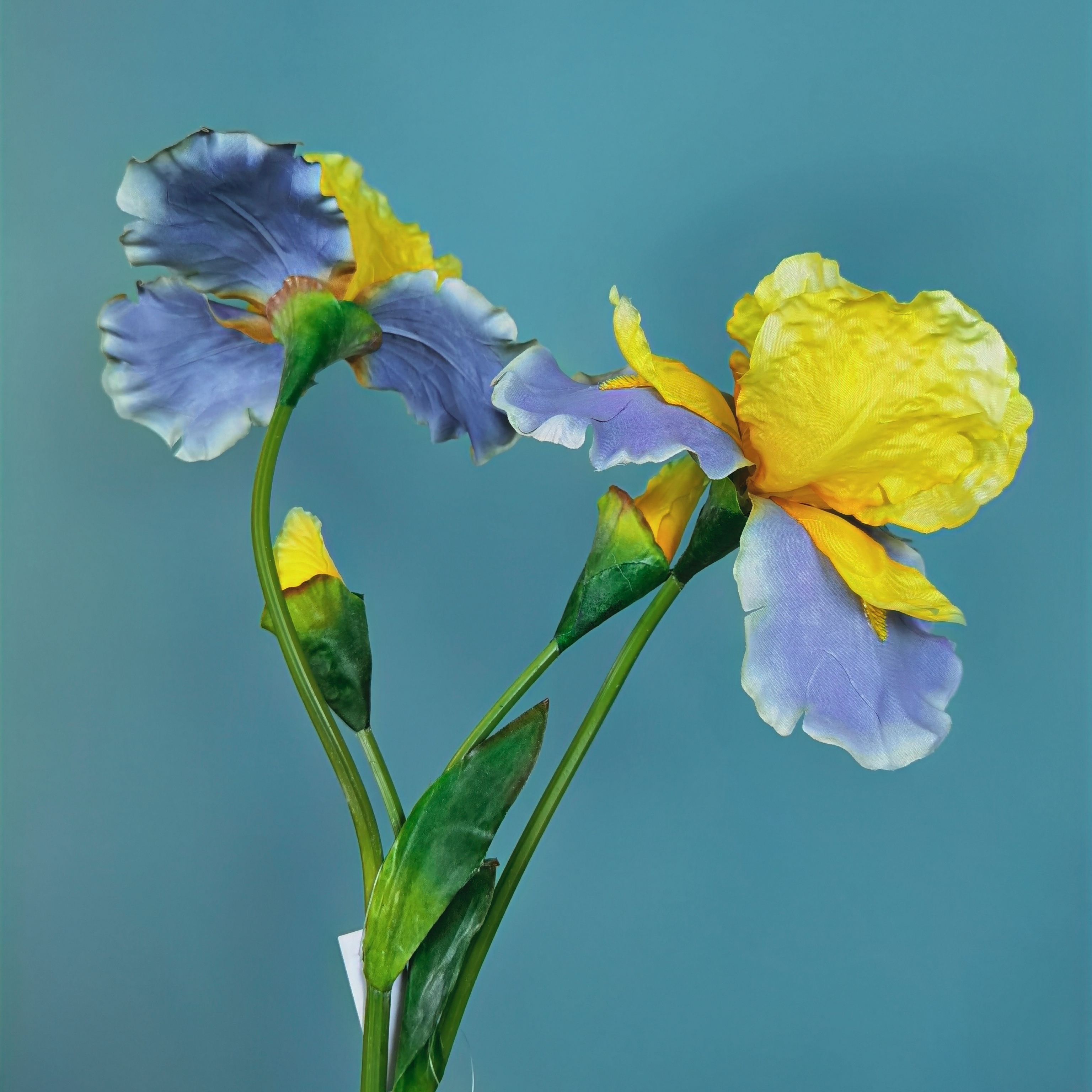 Venta directa de fábrica iris flores de simulación flores de seda alice casa sala de estar encimeras montaje suave decoración de boda pic 5