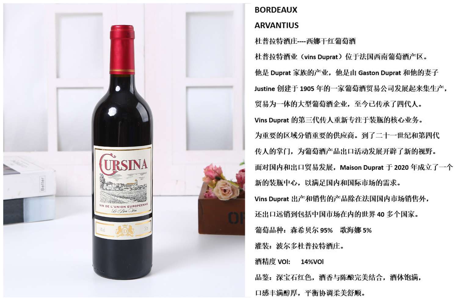 Xena Dry Red Wine From Bordeaux, France details Picture