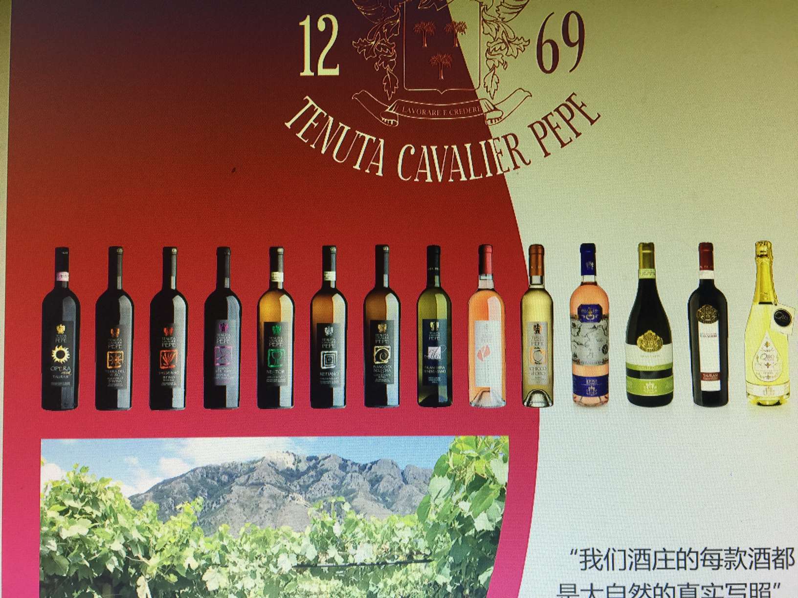 Varro's Land Dry Red Wine. Application Scenario