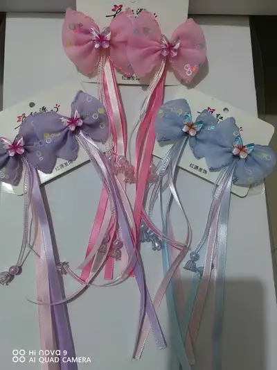 A Pair Of Children's Hair Clips