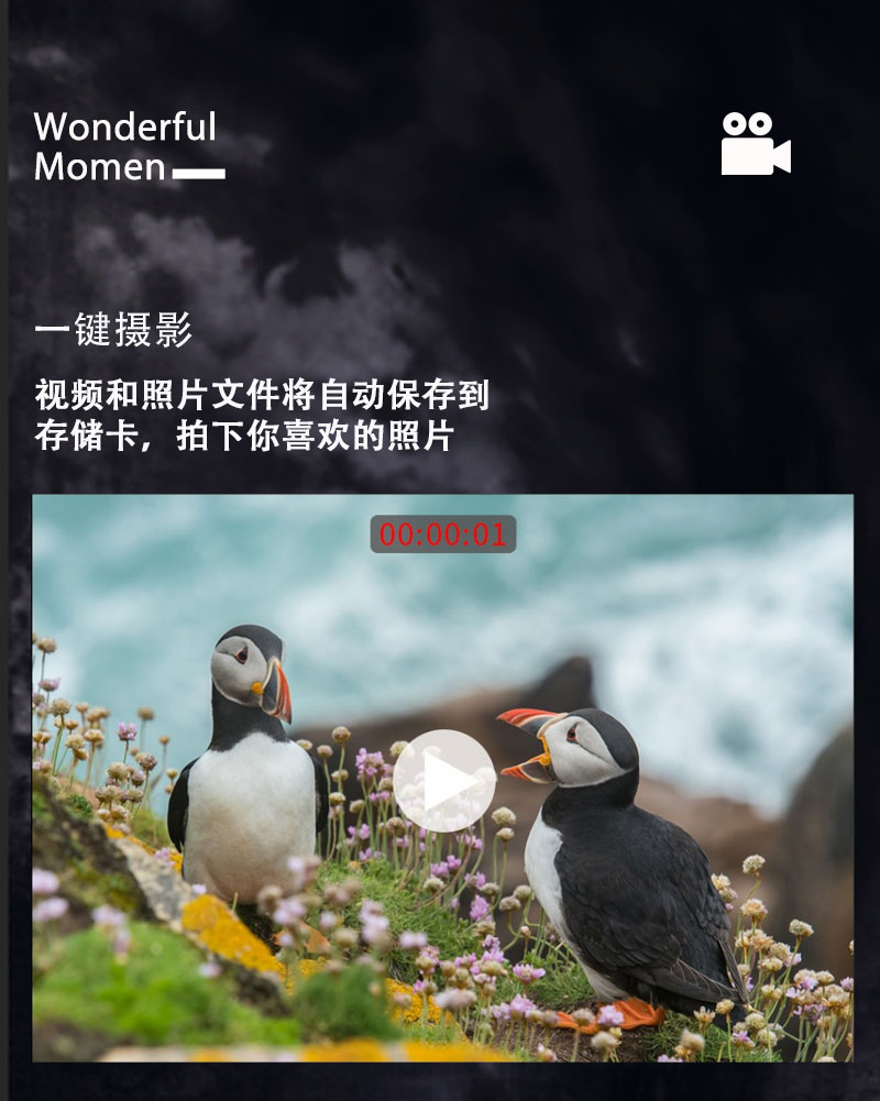 自由虎X21单筒数码高清录像显示屏夜视仪带十字WiFi详情10