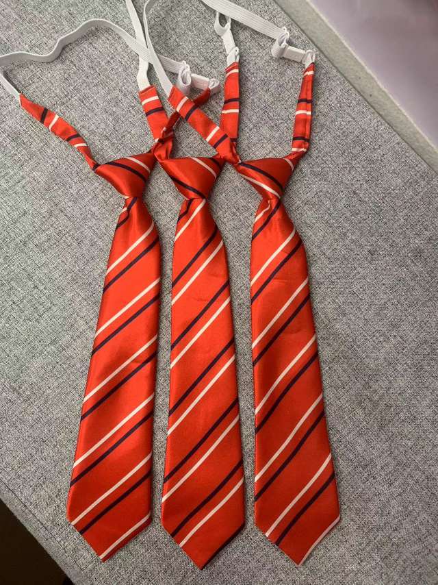 Harry Tie Harry II tie Harry Potter dress up