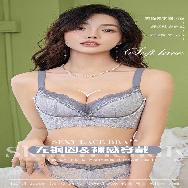 2023 Elegant Lace Mesh Bra Women's Comfortable Underwire Underwear Push-Up Adjustable Bra Application Scenario