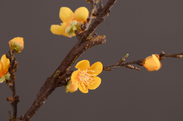 东篱厂家直销仿真梅花枝 单支小腊梅 中式田园禅意家居装饰仿真花批发详情22