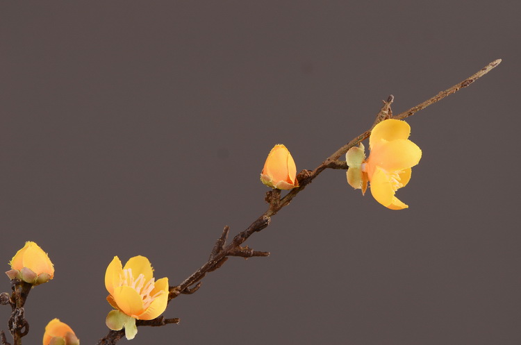 东篱厂家直销仿真梅花枝 单支小腊梅 中式田园禅意家居装饰仿真花批发详情23