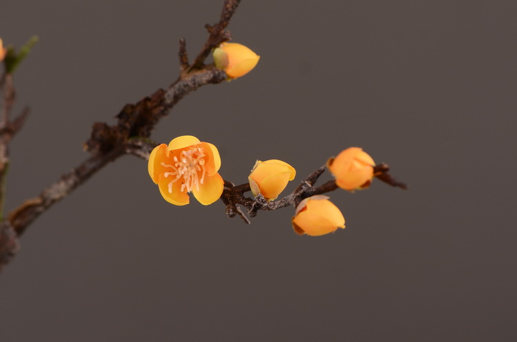 仿真花批发厂家直销仿真梅花枝单支小腊梅中式田园禅意家居装饰详情9