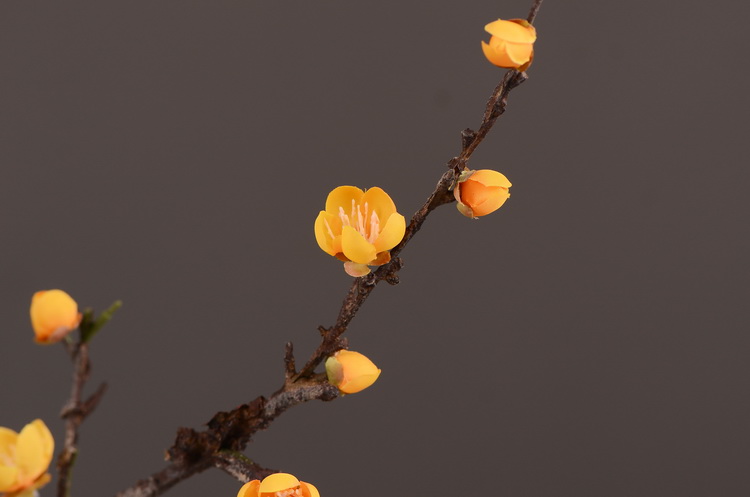 仿真花批发厂家直销仿真梅花枝单支小腊梅中式田园禅意家居装饰详情8