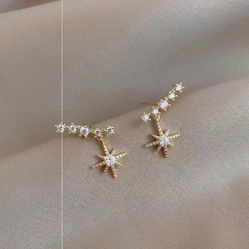 Korean Style Fashion Exquisite Fresh Micro-Inset Zircon Characteristic Temperament Earrings Fate Season