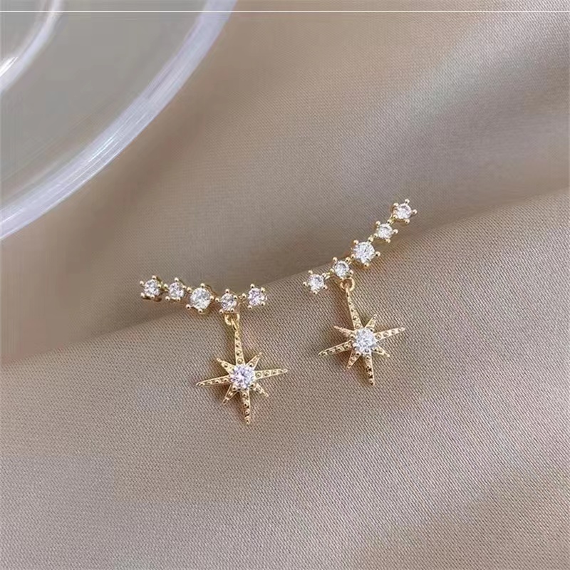 Korean Style Fashion Exquisite Fresh Micro-Inset Zircon Characteristic Temperament Earrings Fate Season details Picture