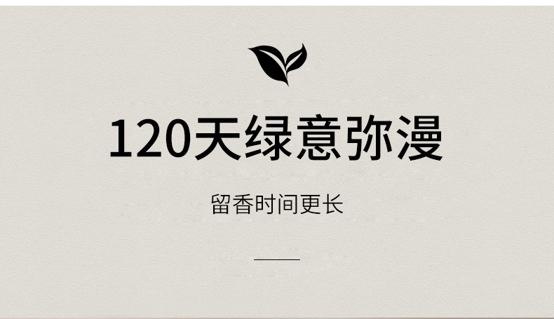 无火香薰家用卧室客厅摆件持久留香白茶藤条香薰香氛除味清新空气香薰精油批发详情10