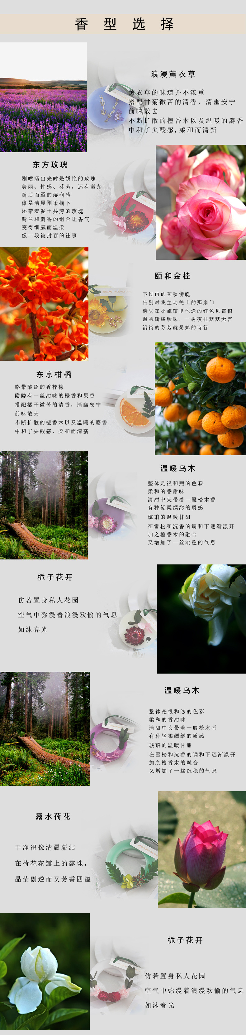 衣柜香薰蜡片车载香薰膏永生花柑橘清新除味香片挂件室内香氛详情2