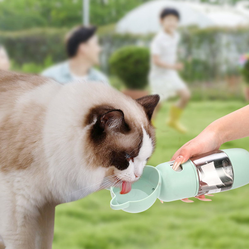 New pet water cup, dog water dispenser, cat food storage and water feeding all-in-one portable cup, portable outdoor pet products Application Scenario