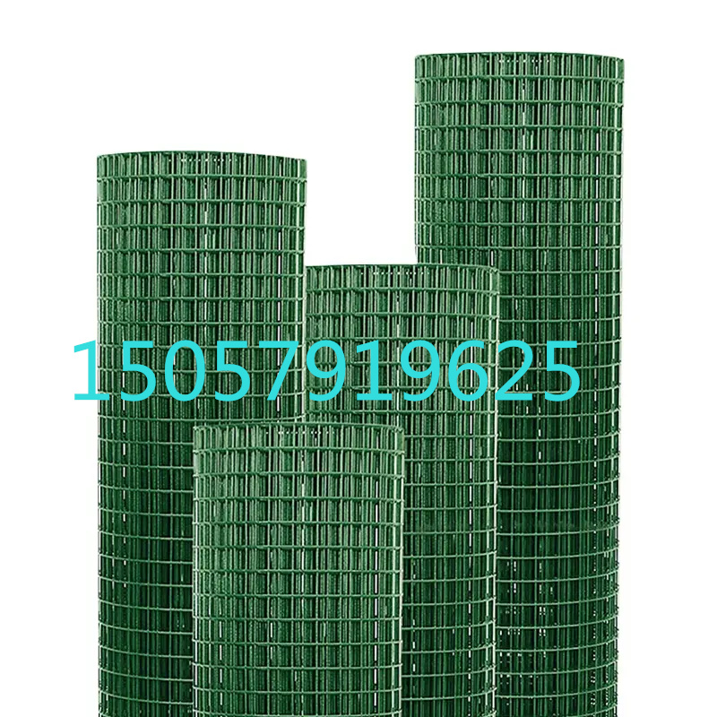 铁丝网绿色/PVC 电焊网/猴网  鸡网 护栏网/电焊网 方格网白底实物图