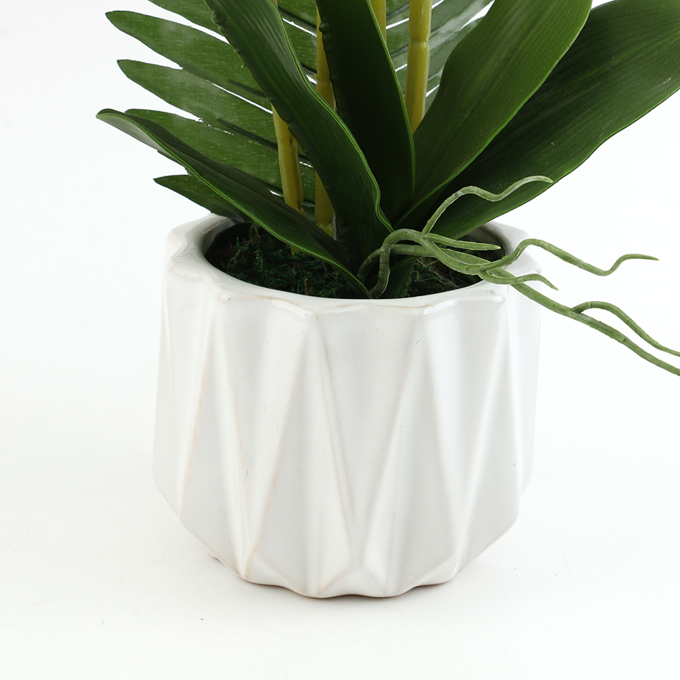 新款现货陶瓷盆仿真蝴蝶兰 橱窗桌面摆件装饰                                       详情10