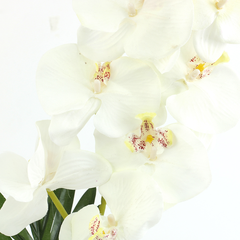 新款现货陶瓷盆仿真蝴蝶兰 橱窗桌面摆件装饰                                       详情11