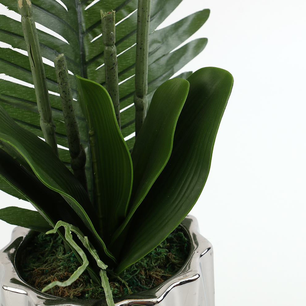 新款现货陶瓷盆仿真蝴蝶兰 橱窗桌面摆件装饰                                       详情3